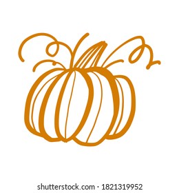 Hand drawn pumpkin illustration for your design