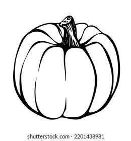 Hand drawn pumpkin, ink drawing,pumpkin vector- uncoloured, colouring page, halloween symbol 