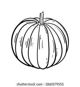 hand drawn pumpkin and ink. Scary greeting card and invitation party poster. Modern illustration concept. single element, icon, sticker, poster card. vegetable harvest autumn halloween thanksgiving