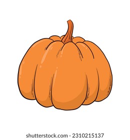 Hand drawn pumpkin, isolated autumn and thanksgiving element dor posters, prints, cards, stickers, sublimation, etc. EPS 10