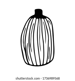 Hand drawn pumpkin isolated on a white background. Doodle, simple outline illustration. It can be used for decoration of textile, paper and other surfaces.