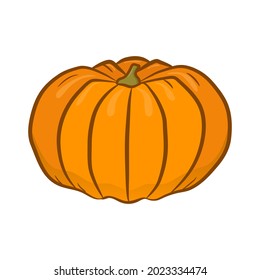 Hand drawn Pumpkin isolated on white background. Organic vegetable. Great design for any purposes. Vector illustration.