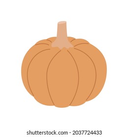 Hand drawn pumpkin isolated on white, in modern style.