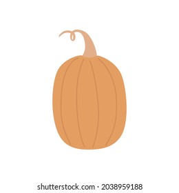 Calabaza dibujada a mano aislada en blanco, de estilo moderno.