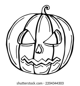 Hand drawn pumpkin isolated on white background.
