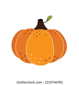 Hand drawn pumpkin isolated in white. Autumn vegetable in cartoon style. Autumn harvest and thanksgiving clipart. Vector illustration