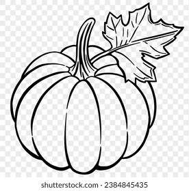 Hand drawn pumpkin with leaf in  brush style isolated on transparent PNG background for Thanksgiving 