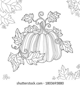 Hand drawn pumpkin with leaf and simple patterns, berries, seeds. Vegetable food illustration on white isolated background. Suitable for coloring book, Halloween or Thanksgiving day poster, banner.