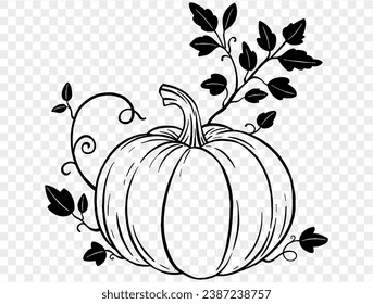 Hand drawn pumpkin with leaves and vine in  brush style isolated on transparent PNG background for Thanksgiving 