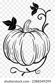 Hand drawn pumpkin with leaves and vine in  brush style isolated on transparent PNG background for Thanksgiving 