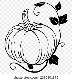 Hand drawn pumpkin with leaves and vine in  brush style isolated on transparent PNG background for Thanksgiving 