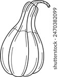 Hand Drawn pumpkin line art. Pumpkin doodle icon. Black and white Pumpkin vector illustration. Perfect For Poster, Greeting Card, Coloring page for kids and adults. 