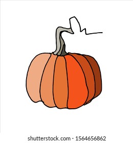 Hand drawn pumpkin on white background, isolated vector design element