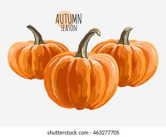  Hand drawn pumpkin on white background. Vector illustration