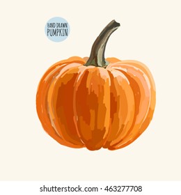  Hand drawn pumpkin on white background. Vector illustration