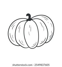 Hand drawn pumpkin outline. Pumpkin doodle. Vector illustration