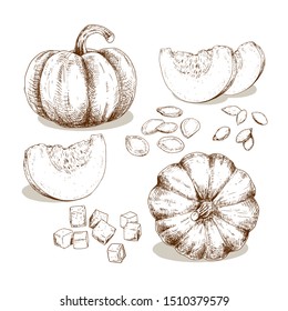 Hand drawn pumpkin. Set sketches with pieces pumpkin, cubes and seeds. Vector illustration isolated on white background.