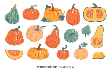 Hand drawn pumpkin shapes with leaves, half with seeds and slices. Autumn, fall, thanksgiving and halloween decoration. Cute pumpkins vector set
