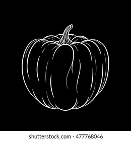 Hand drawn pumpkin sketch isolated on black background. Organic food. Vector engraved illustration