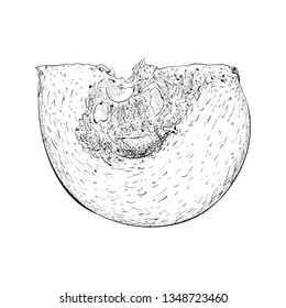Hand drawn pumpkin slice illustration 