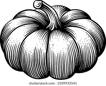 Hand drawn Pumpkin Squash Autumn Element Autumn Ornament Autumn Decor Sketch Illustration Engraving Woodcut Vintage Style Vector