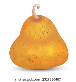 Hand drawn pumpkin . Vector illustration.