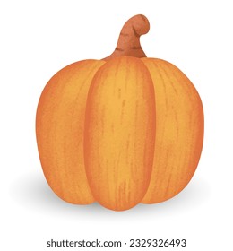 Hand drawn pumpkin . Vector illustration.