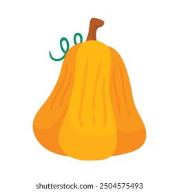 Hand drawn Pumpkin Vegetable Ripe isolated illustration on white.