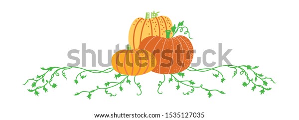 hand drawn pumpkin vine leaves and plant in green\
isolated on white background with cute curls, garden and autumn\
border design element for fall festival, harvest party, or\
halloween designs