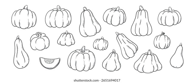 Colección de calabazas dibujadas a mano, garabatos dibujados, Elementos de dibujos animados aislados establecidos para impresiones, tarjetas, carteles, Anuncios, páginas para colorear, decoración de redes sociales, sublimación, etc. EPS 10