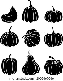 Hand drawn  pumpkins on white background.Pumpkin of various shapes and black and white. Thanksgiving and Halloween Elements.vector illustration.