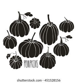 Hand drawn pumpkins on white background. Halloween symbol. Design element for poster, t-shirt, cooking book. Autumn collection.