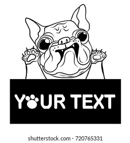 Hand drawn puppy French bulldog with place for text vector. Cartoon Happy French bulldog smile with Space for text.