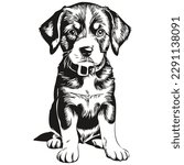 Hand drawn puppy on a white background, puppies
