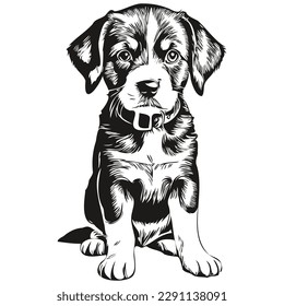 Hand drawn puppy on a white background, puppies
