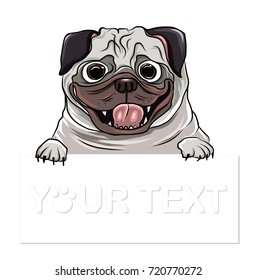 Hand drawn puppy pug with place for text vector. Cartoon Happy Pug dog smile with Space for text.