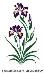 Hand Drawn Purple Iris Flower. Vector Illustration