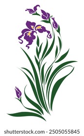 Hand Drawn Purple Iris Flower. Vector Illustration