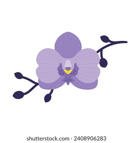 Hand drawn purple orchid flower with branch. Flat style. Vector illustration