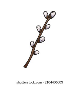 Hand drawn pussy willow branch icon in doodles style isolated on white background. Happy Easter.