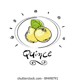 hand drawn quince in vignette