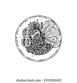 Hand Drawn Quinoa Bowl Isolated On White Background. Vector Illustration In Sketch Style. 