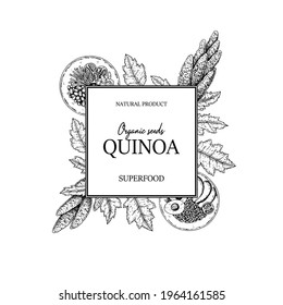 Hand drawn quinoa frame. Vector illustration in sketch style.