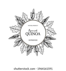 Hand drawn quinoa frame. Vector illustration in sketch style.