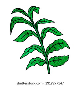 hand drawn quirky cartoon vine leaves