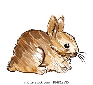 hand drawn rabbit