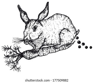 Hand Drawn Rabbit Character/ Illustration of a cartoon sketched rabbit eating a carrot