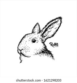 Hand Drawn Rabbit head face logo vector icon. bunny or hare pet silhouette line art. vintage rustic sketch look. For pet lover, cloth graphic, fauna care brand, community, label, club. cute and funny