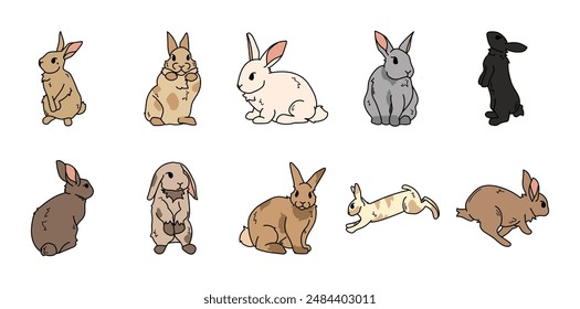 Hand Drawn Rabbit Illustration Set