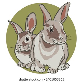 hand drawn rabbit vector illustration